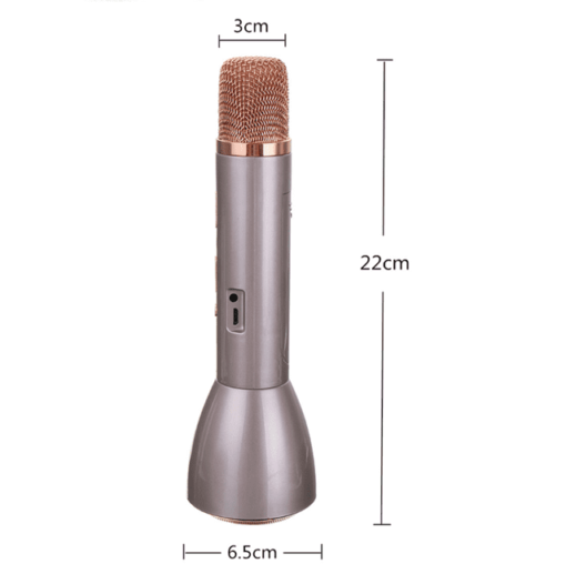p1009-2-portable-bluetooth-karaoke-mic-and-speaker