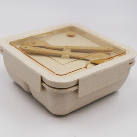 ECO Square Lunch Box