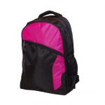 Pink Boson Laptop Backpack