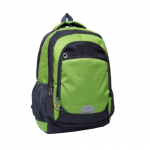 green Birch Laptop Backpack