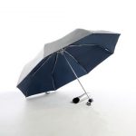 Blue 21″ Light Weight Umbrella