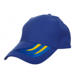 Blue Panel Cotton Cap