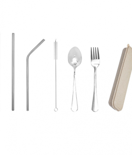 Stainless Steel Cutlery cum Straw set