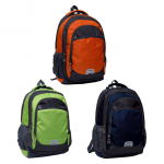 Buy Birch Laptop Backpack